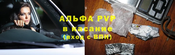 гашик Пестово