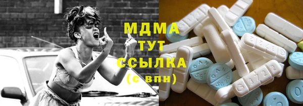гашик Пестово