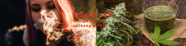 гашик Пестово
