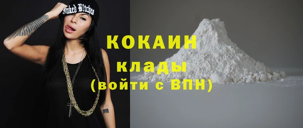 гашик Пестово