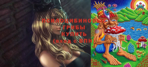 мет Пересвет