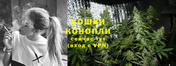 дживик Ветлуга