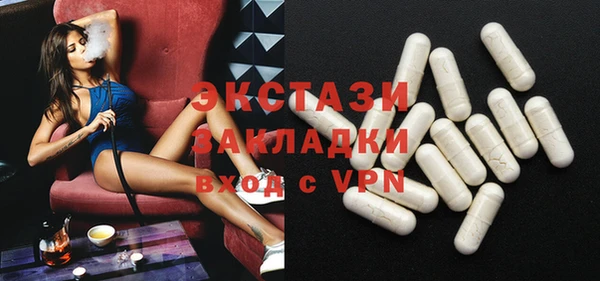 гашик Пестово