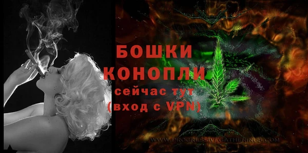 эйфоретик Переславль-Залесский