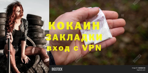 гашик Пестово